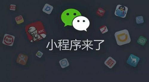 吃瓜网客服  第2张